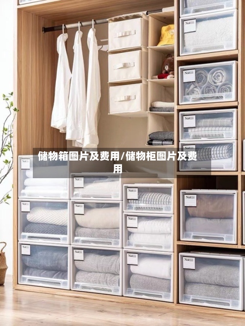 储物箱图片及费用/储物柜图片及费用