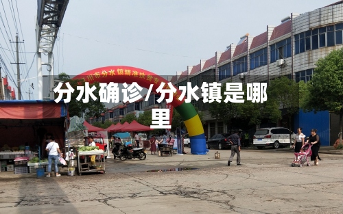 分水确诊/分水镇是哪里