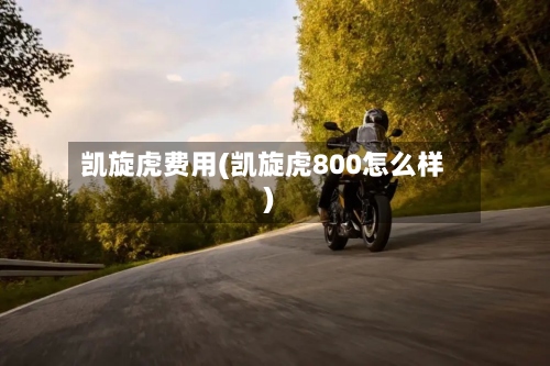 凯旋虎费用(凯旋虎800怎么样)-第3张图片