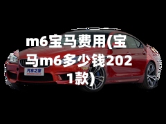 m6宝马费用(宝马m6多少钱2021款)