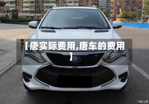 【唐实际费用,唐车的费用】
