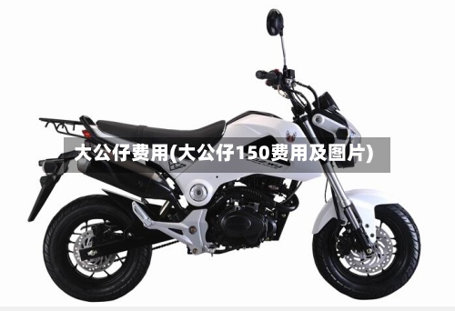 大公仔费用(大公仔150费用及图片)