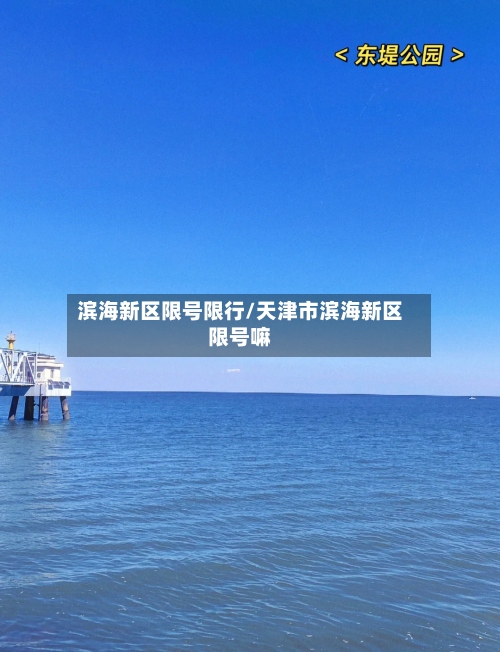 滨海新区限号限行/天津市滨海新区限号嘛-第3张图片