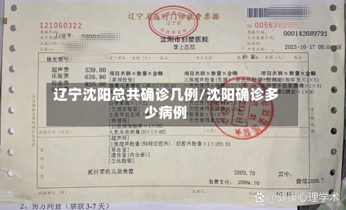辽宁沈阳总共确诊几例/沈阳确诊多少病例