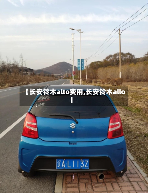 【长安铃木alto费用,长安铃木allo】-第3张图片