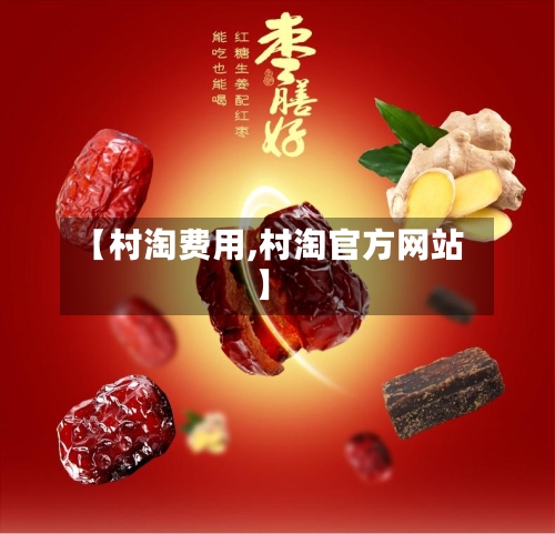 【村淘费用,村淘官方网站】