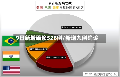 9日新增确诊528例/新增九例确诊