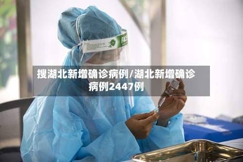 搜湖北新增确诊病例/湖北新增确诊病例2447例