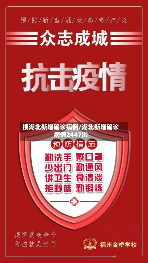 搜湖北新增确诊病例/湖北新增确诊病例2447例-第2张图片