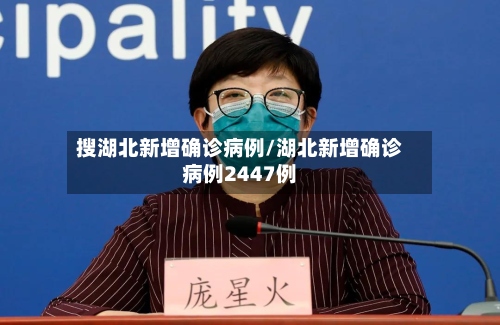 搜湖北新增确诊病例/湖北新增确诊病例2447例-第3张图片
