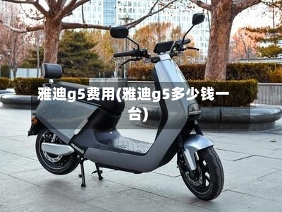 雅迪g5费用(雅迪g5多少钱一台)