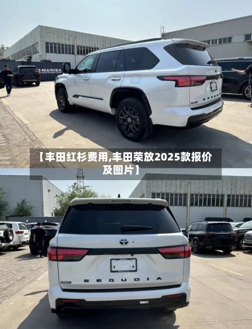 【丰田红杉费用,丰田荣放2025款报价及图片】-第2张图片