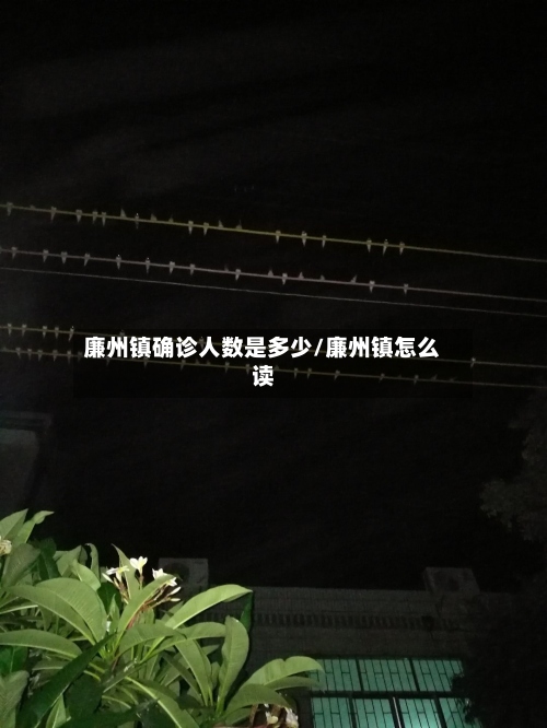 廉州镇确诊人数是多少/廉州镇怎么读-第2张图片