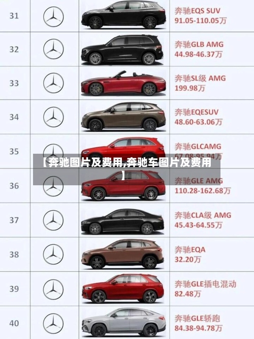 【奔驰图片及费用,奔驰车图片及费用】