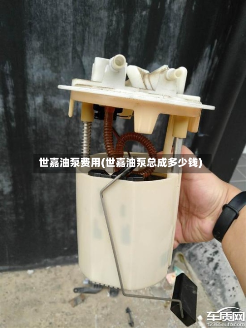 世嘉油泵费用(世嘉油泵总成多少钱)
