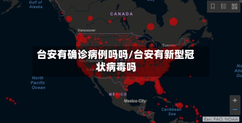 台安有确诊病例吗吗/台安有新型冠状病毒吗-第3张图片