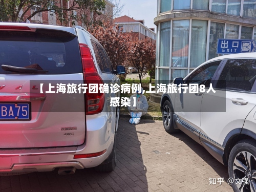 【上海旅行团确诊病例,上海旅行团8人感染】-第3张图片