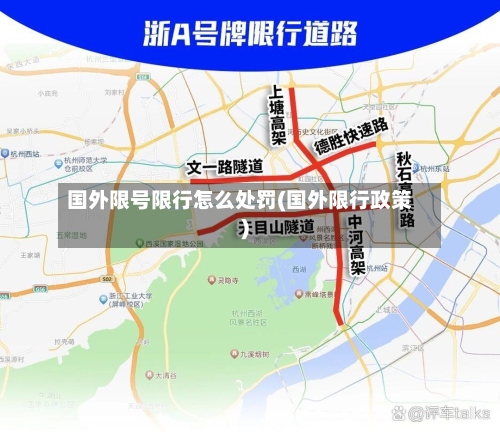 国外限号限行怎么处罚(国外限行政策)-第2张图片