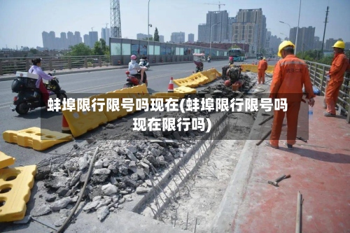 蚌埠限行限号吗现在(蚌埠限行限号吗现在限行吗)-第3张图片