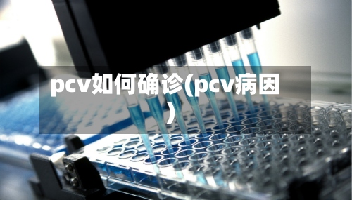 pcv如何确诊(pcv病因)