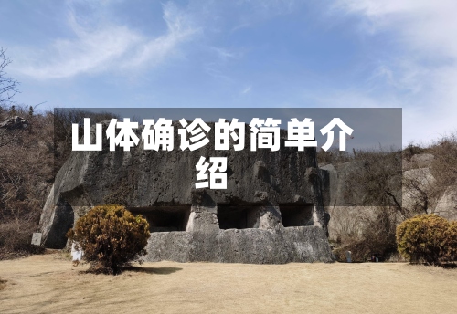 山体确诊的简单介绍-第3张图片