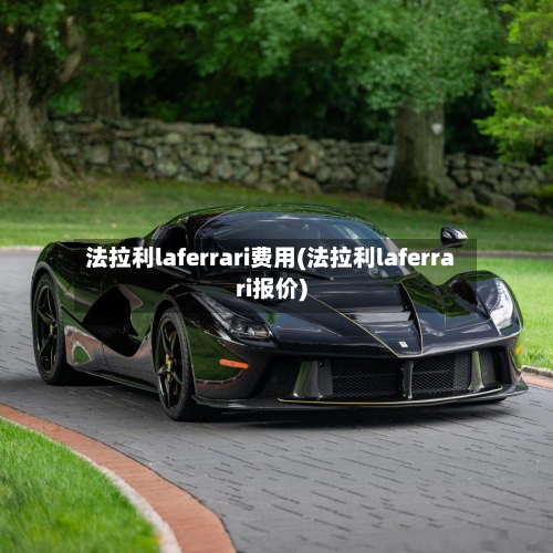 法拉利laferrari费用(法拉利laferrari报价)