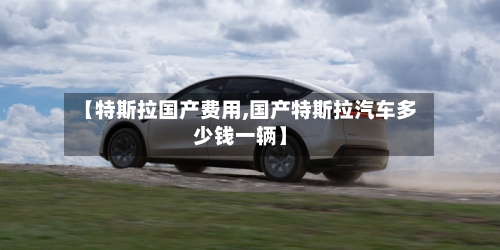 【特斯拉国产费用,国产特斯拉汽车多少钱一辆】-第3张图片