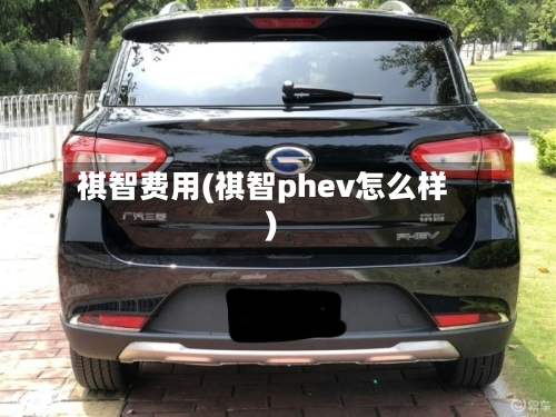 祺智费用(祺智phev怎么样)