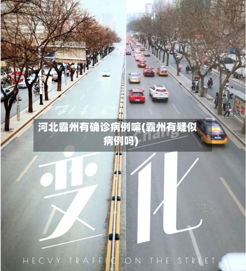 河北霸州有确诊病例嘛(霸州有疑似病例吗)