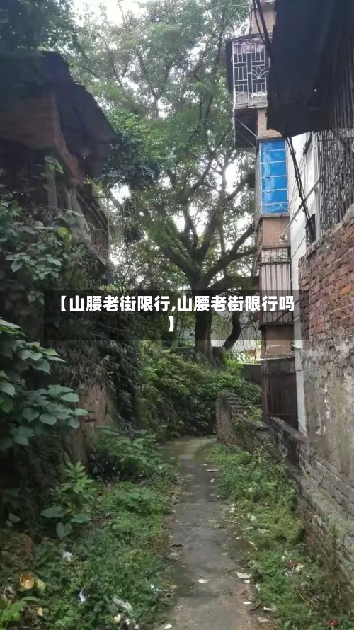 【山腰老街限行,山腰老街限行吗】