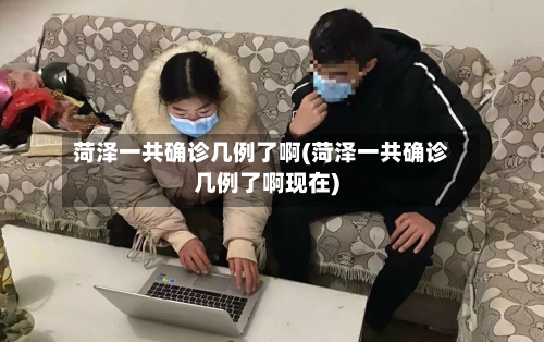 菏泽一共确诊几例了啊(菏泽一共确诊几例了啊现在)-第2张图片
