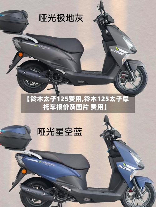 【铃木太子125费用,铃木125太子摩托车报价及图片 费用】