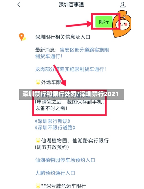深圳禁行和限行处罚/深圳禁行2021