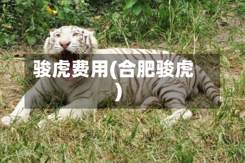 骏虎费用(合肥骏虎)
