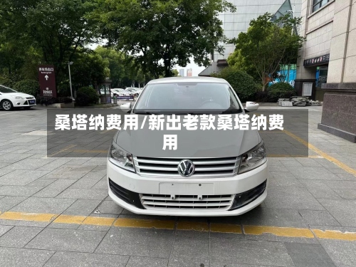 桑塔纳费用/新出老款桑塔纳费用-第2张图片
