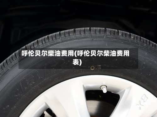 呼伦贝尔柴油费用(呼伦贝尔柴油费用表)