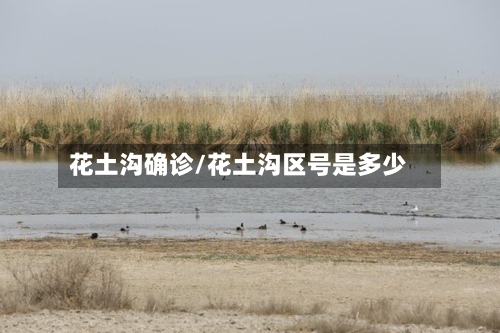 花土沟确诊/花土沟区号是多少-第2张图片