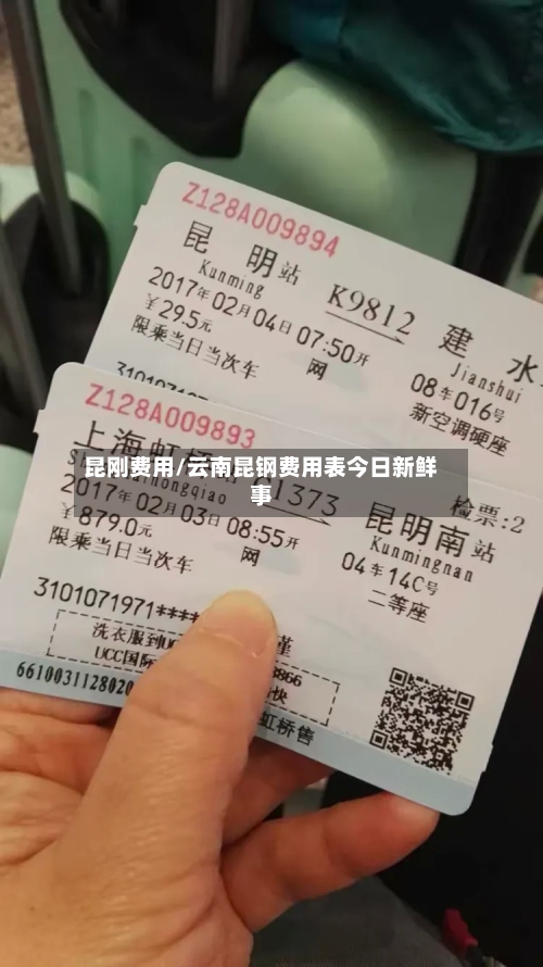 昆刚费用/云南昆钢费用表今日新鲜事-第2张图片