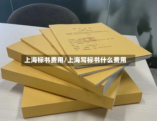上海标书费用/上海写标书什么费用