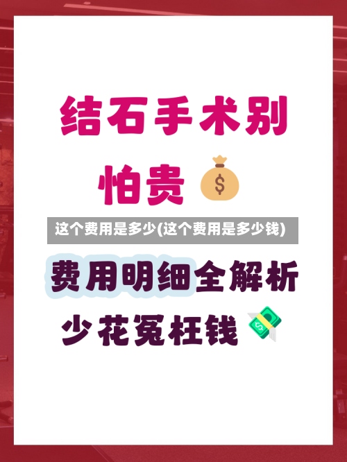 这个费用是多少(这个费用是多少钱)