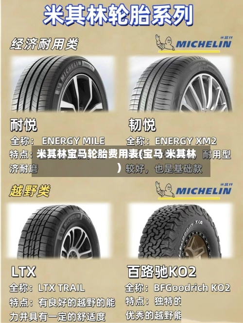米其林宝马轮胎费用表(宝马 米其林)-第2张图片