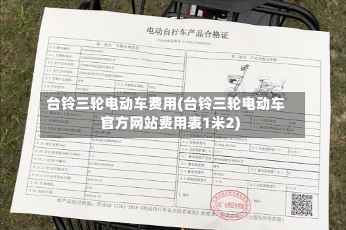 台铃三轮电动车费用(台铃三轮电动车官方网站费用表1米2)-第2张图片