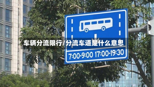 车辆分流限行/分流车道是什么意思-第2张图片