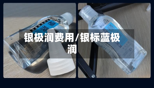 银极润费用/银标蓝极润