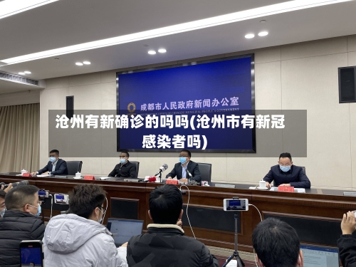 沧州有新确诊的吗吗(沧州市有新冠感染者吗)