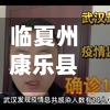 临夏州康乐县确诊人数(临夏康乐的房价多少)-第3张图片