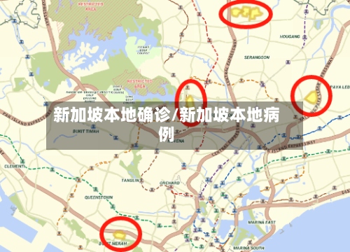 新加坡本地确诊/新加坡本地病例