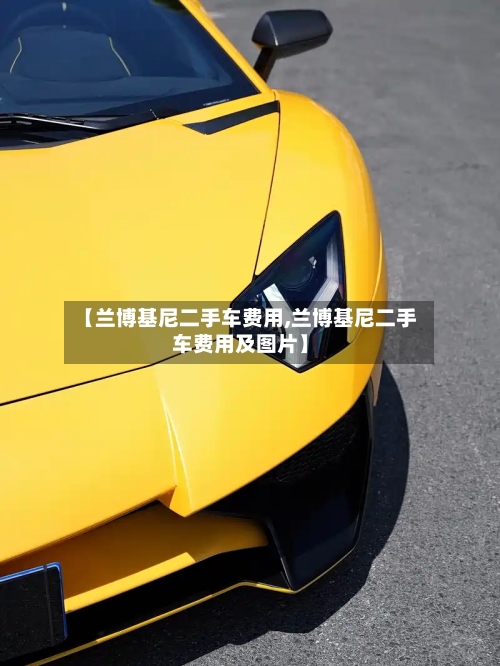 【兰博基尼二手车费用,兰博基尼二手车费用及图片】