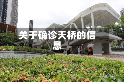 关于确诊天桥的信息-第3张图片