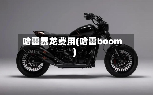 哈雷暴龙费用(哈雷boom)